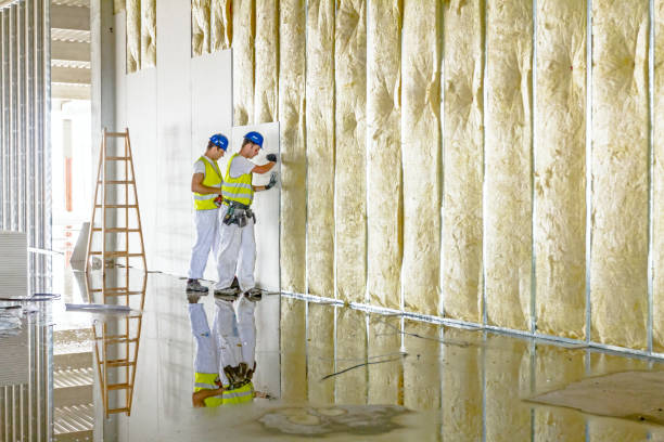 Professional Insulation Contractor in Ambler, PA